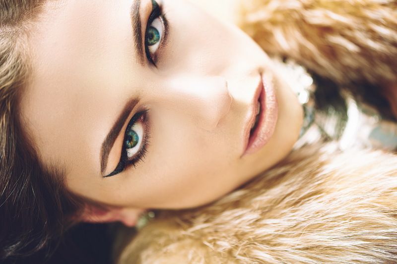 Хищно фото превью