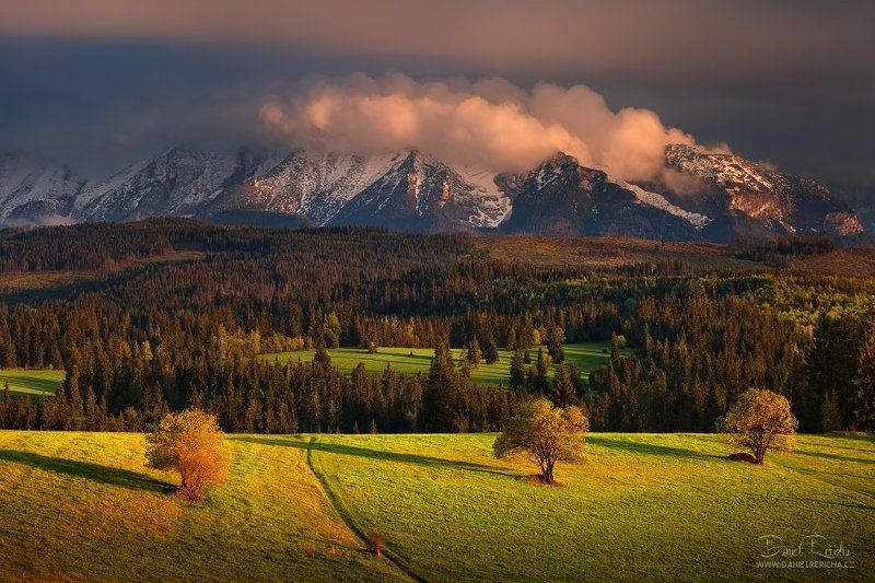 Slovakia, Tatras, Belianske Tatras, evening, spring, mountains, trees, forest, sky, clouds, Belianske Tatras фото превью