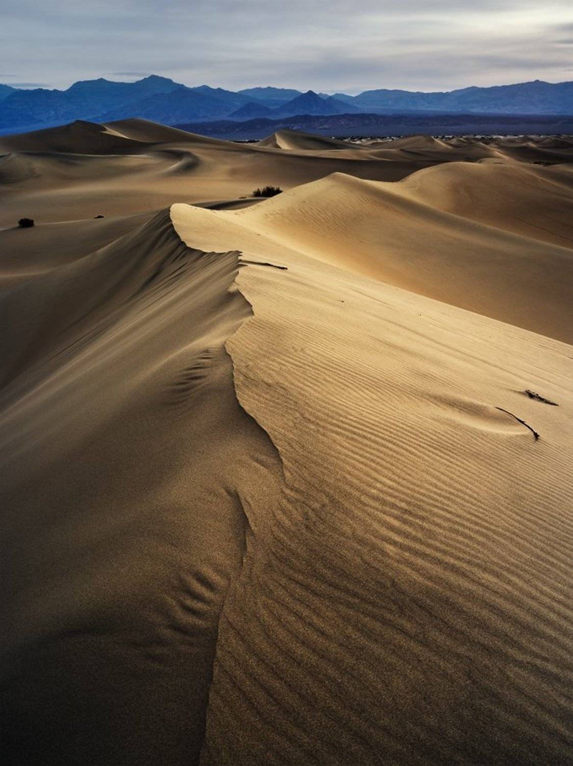 , Alexander Ravin (www.worldwidephoto.ru)