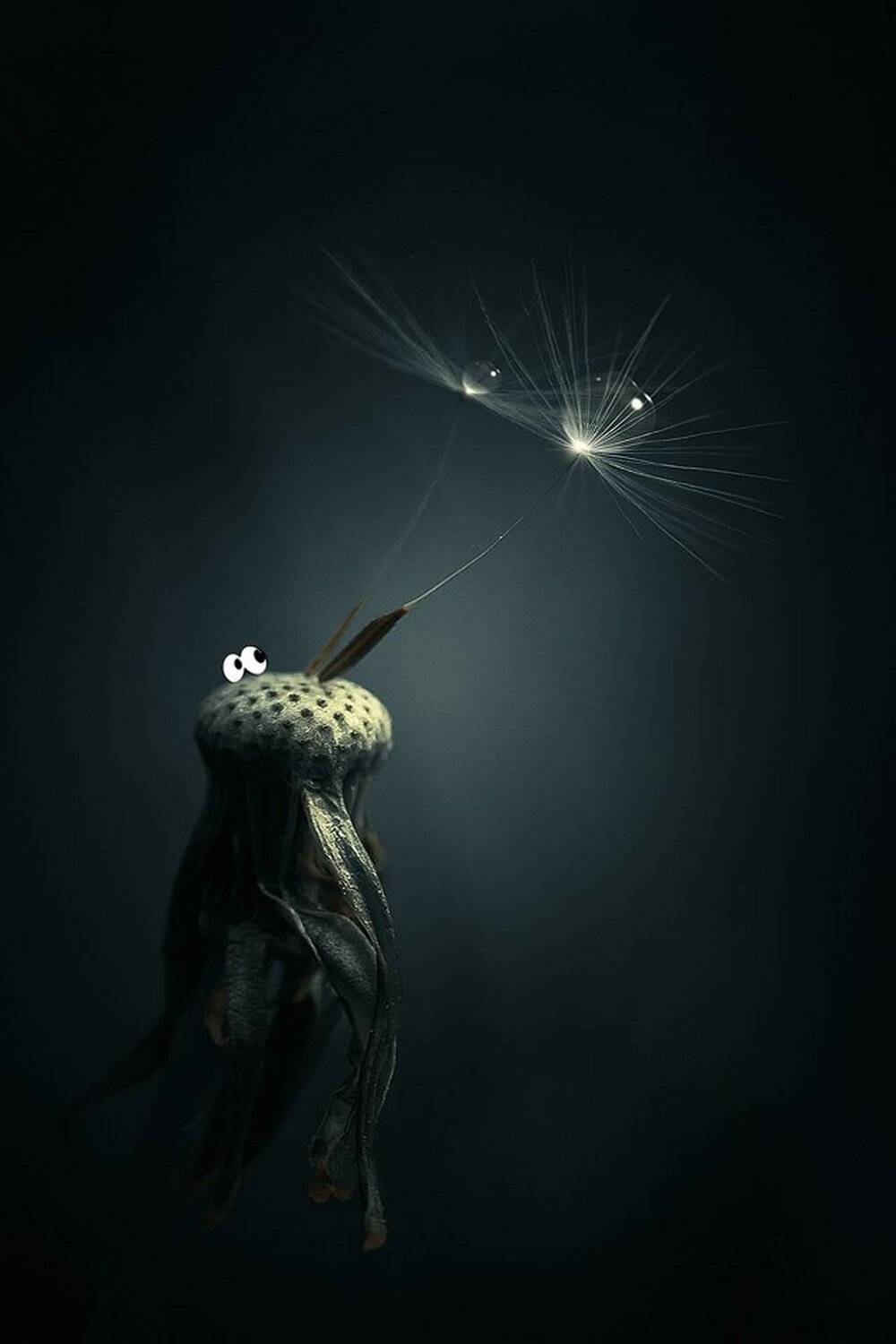 Г. Коростышев, Капли, Коростышев, Макро, Макро красота, Макро мир, Украина, Александр Чорный