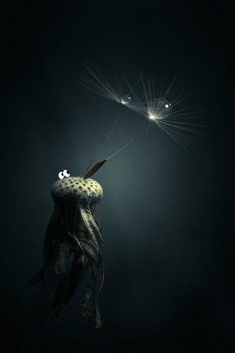 Возвыситься над мыслями