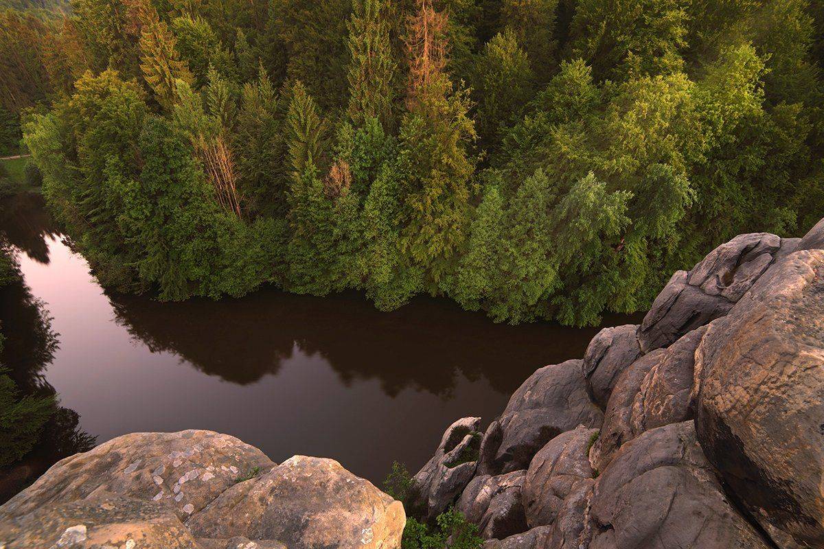 , Игорь Дубровский