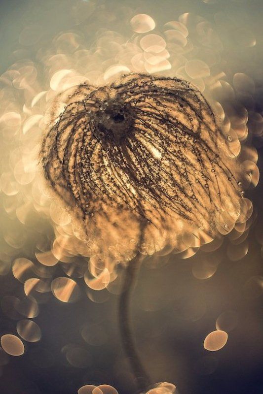 Озарение фото превью