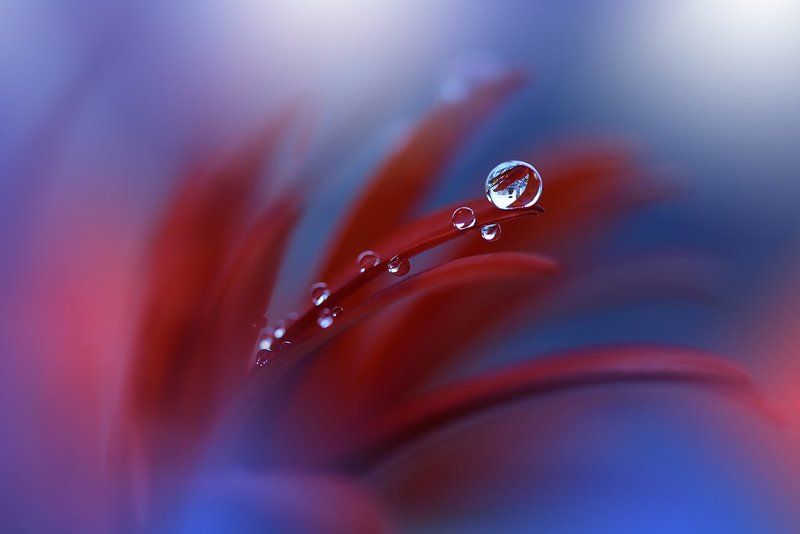 Strange Feelings... фото превью