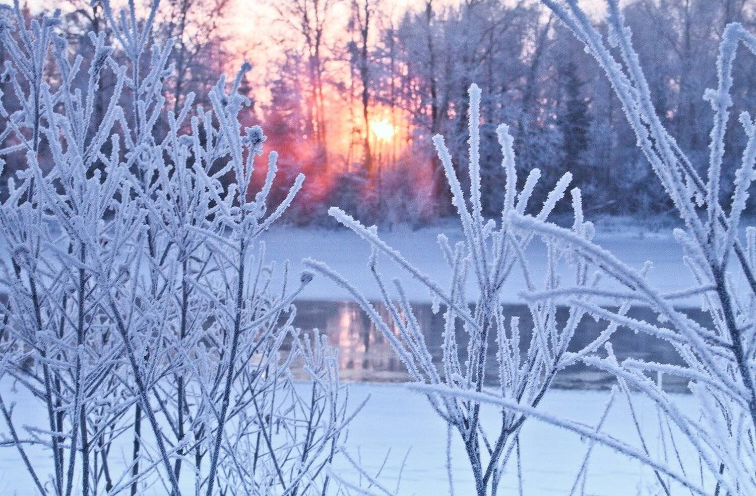 , Николай Морский