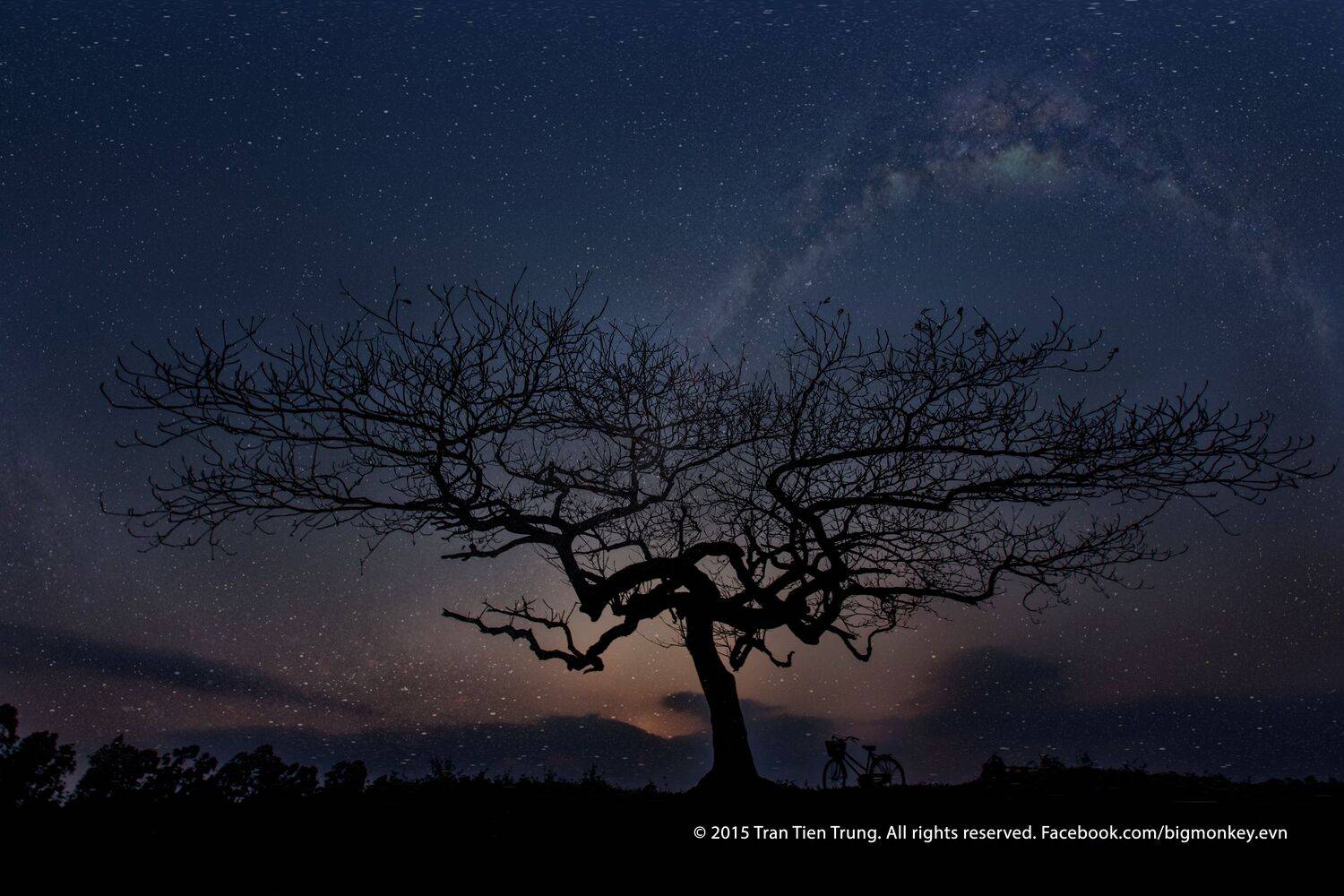 , Trần Tiến Trung