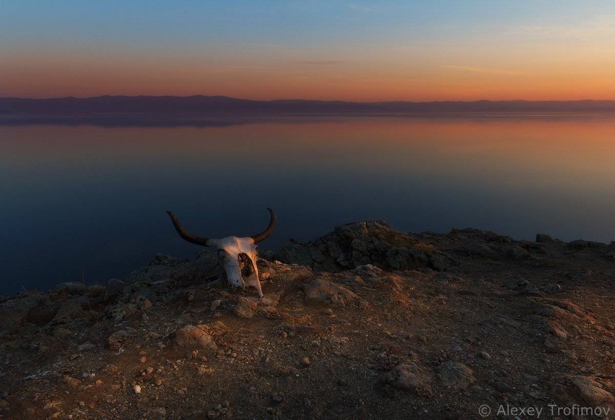 , Алексей Трофимов