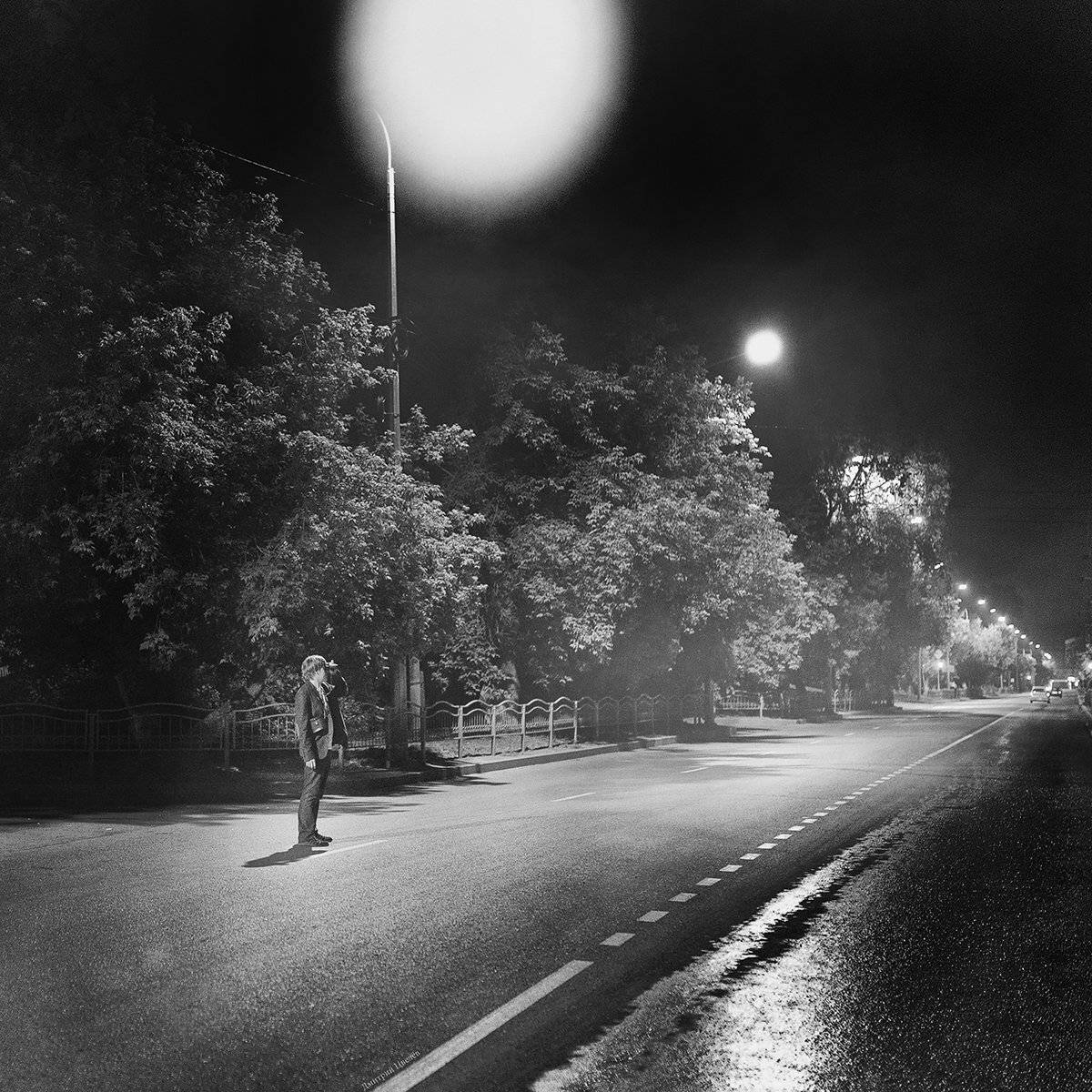 , Цвелёв Дмитрий