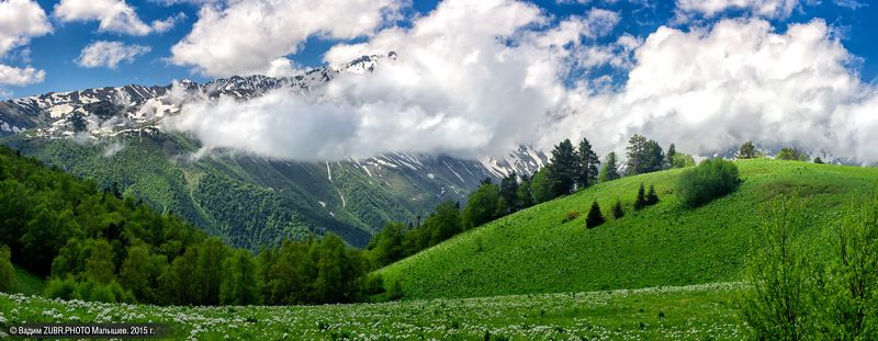 панорама, пейзаж, горы, заповедник, лето, облака, zubrphoto, Абаго, Кавказ Свежесть альпийских лугов фото превью