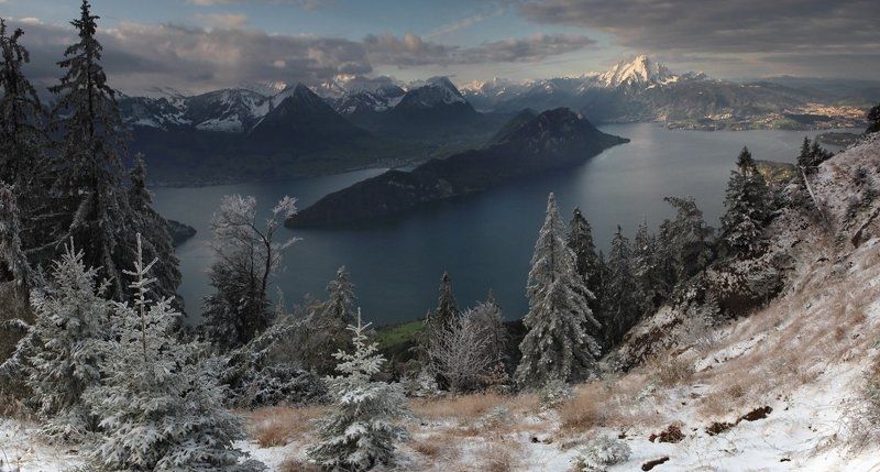 swiss,rigi,осень,швейцария Октябрьский денёк фото превью