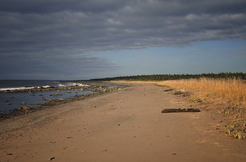 Терское побережье Белого моря фото превью