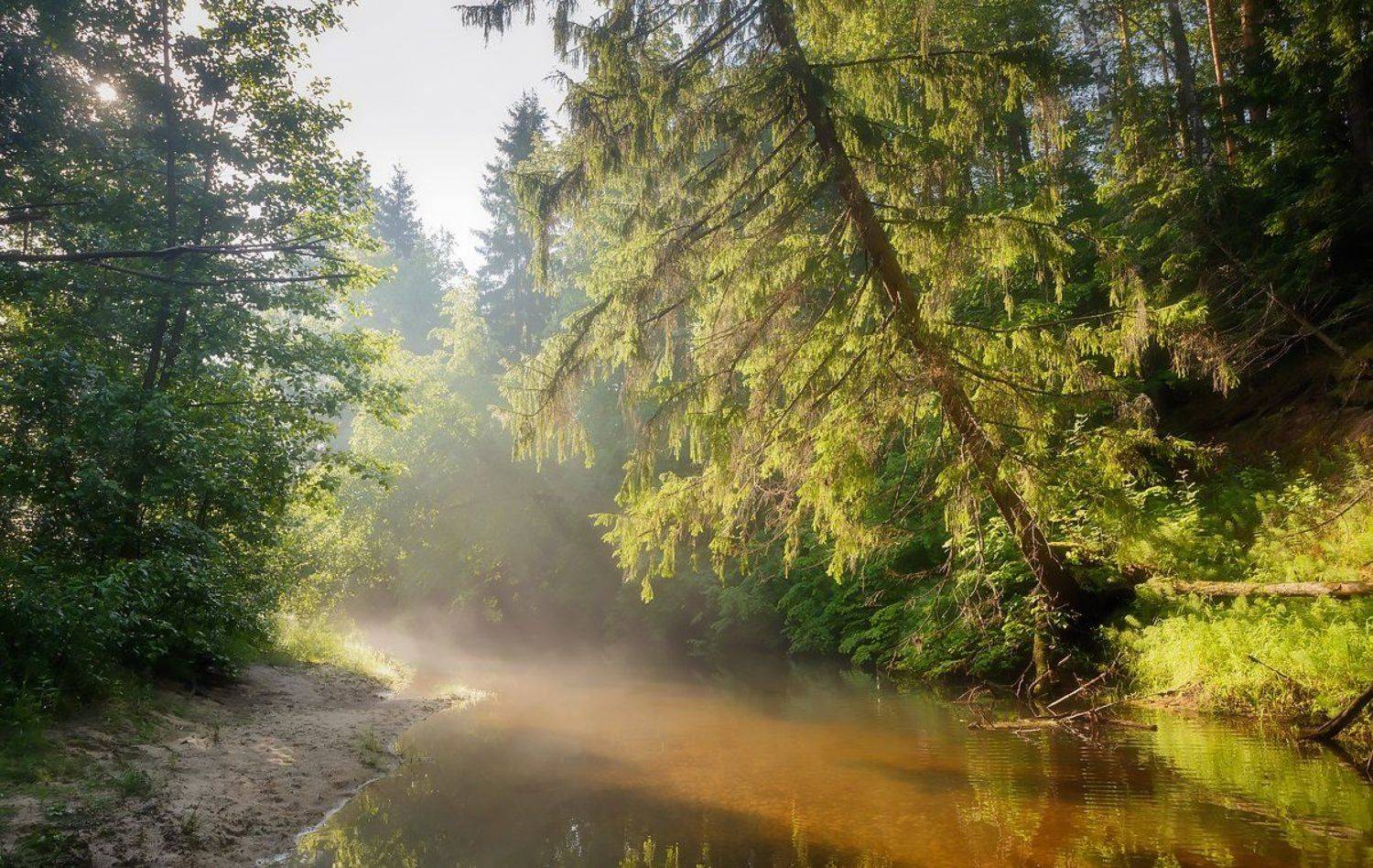 саров, сатис, пейзаж, вода, дерево, лето, лучь, отмель, песок, прозрачная, река, солнечный, тихое, туман, утро, Александр Чибиркин