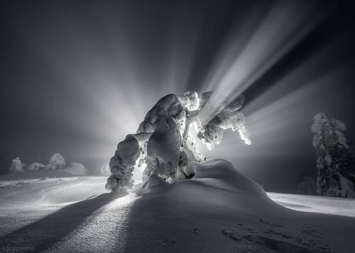 Абориген Кольского