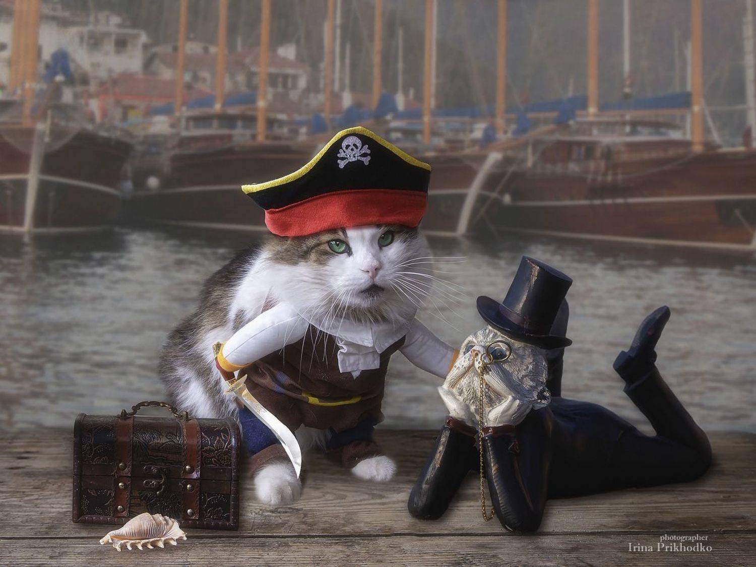 постановочное фото, котонатюрморт, кошки, марионетка, пират,пирс, Приходько Ирина