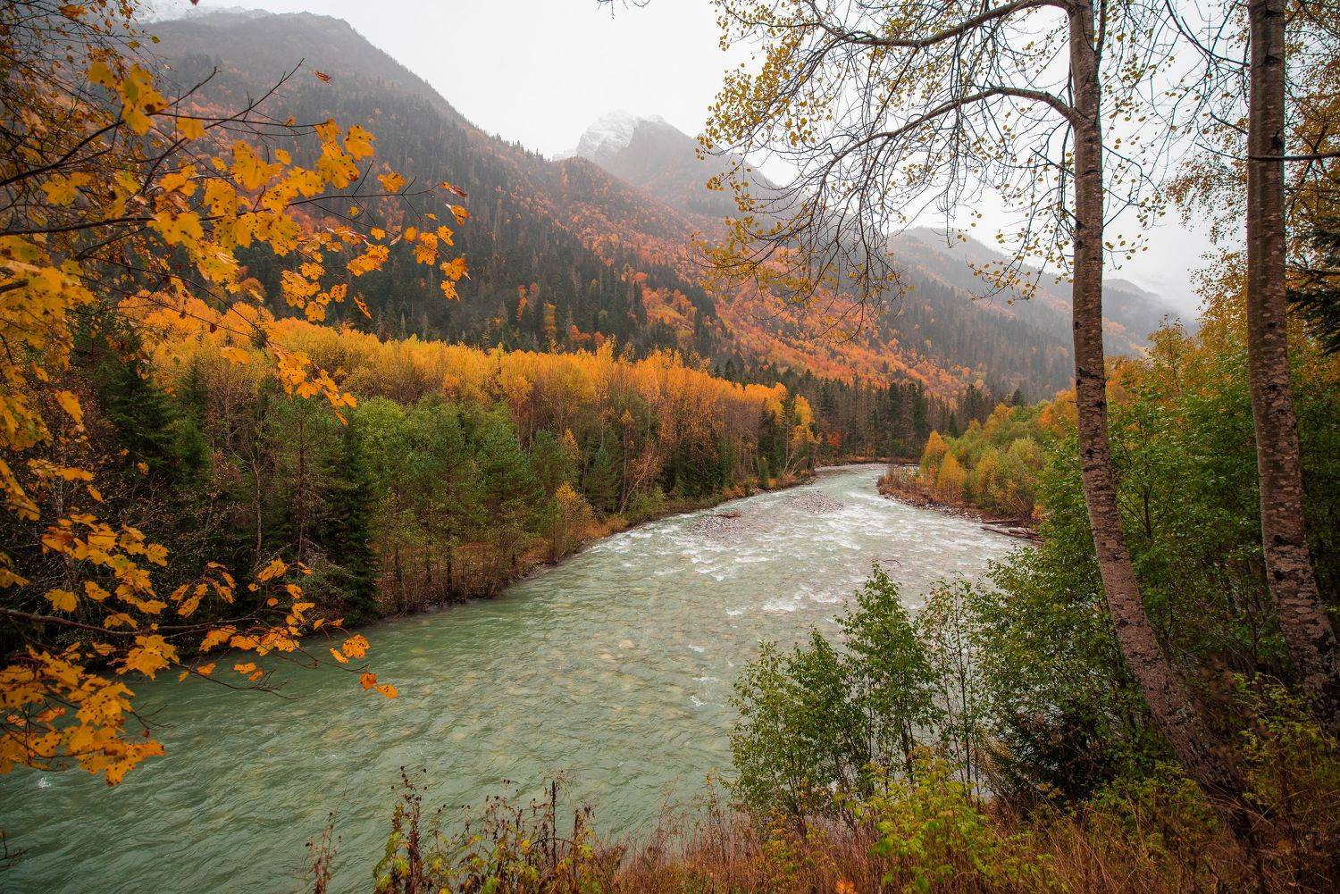 , Дмитрий Величко