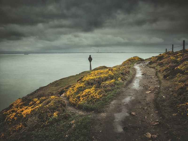Storm is coming фото превью