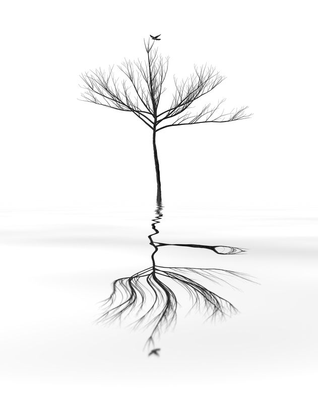 * фото превью