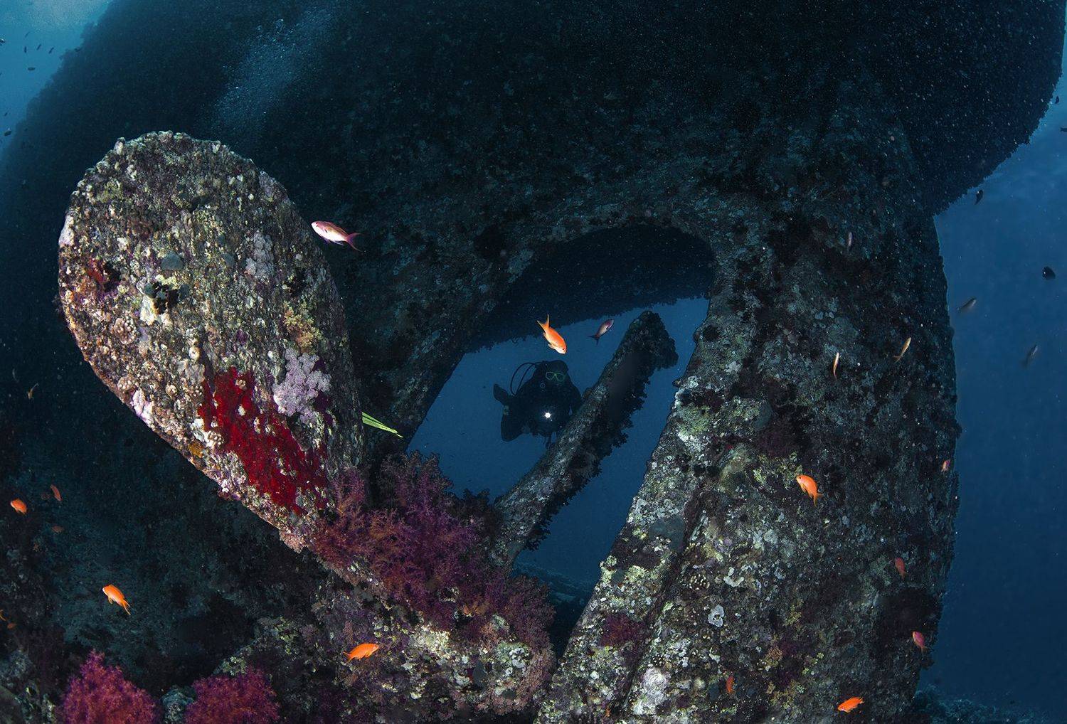 египет, красное море, корабль, корма, дайвинг, винт, Сергей Гаспарян