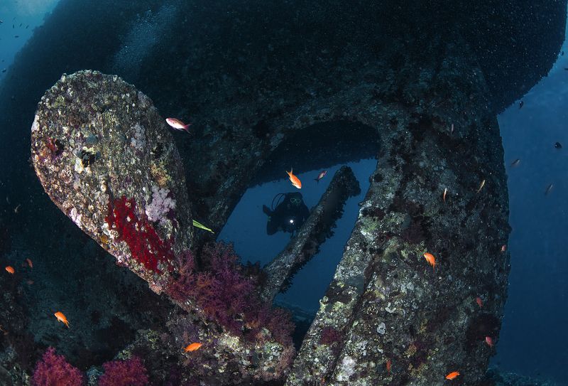 египет, красное море, корабль, корма, дайвинг, винт последняя швартовка фото превью