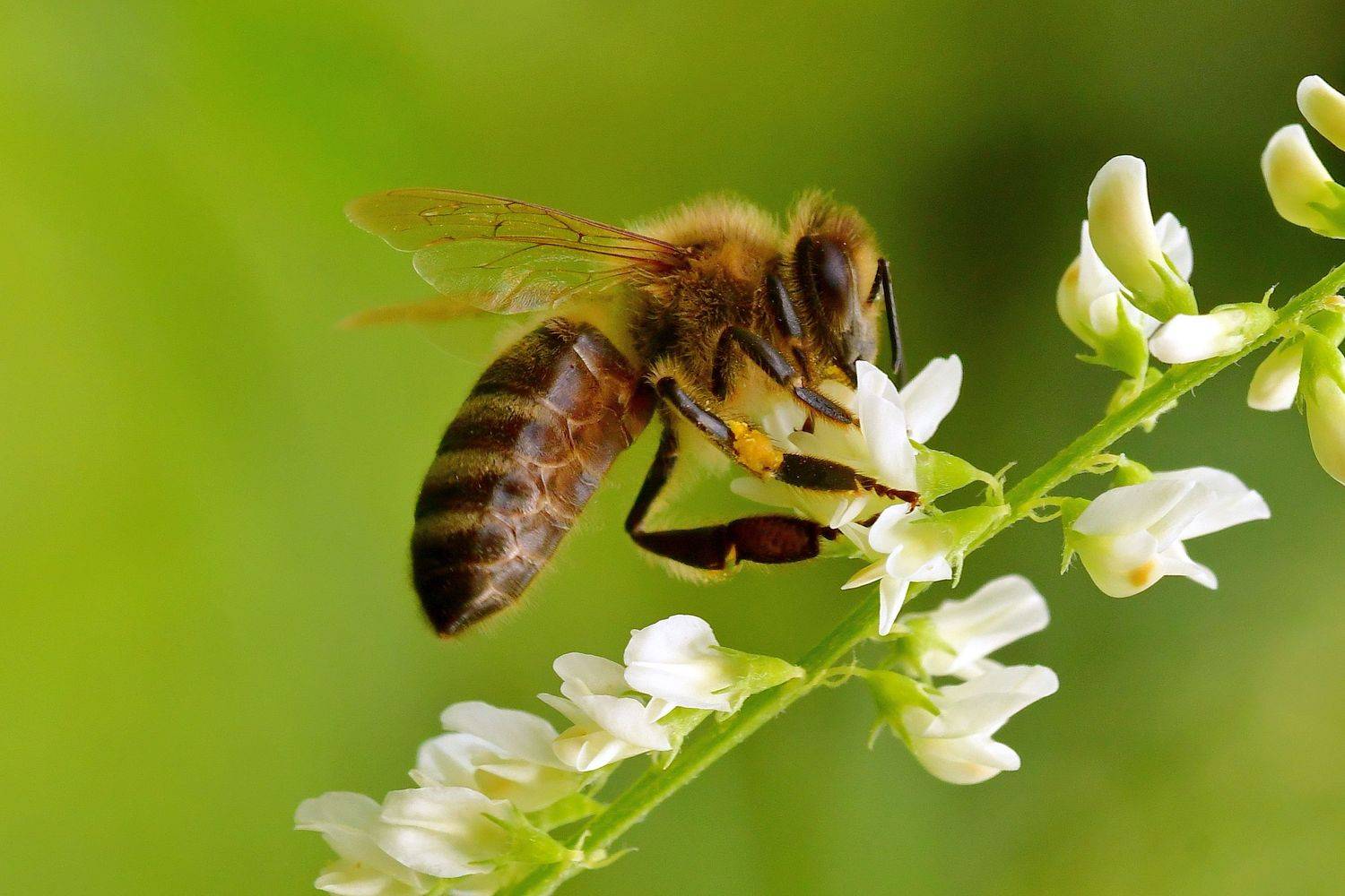 , Корнейчук Игорь