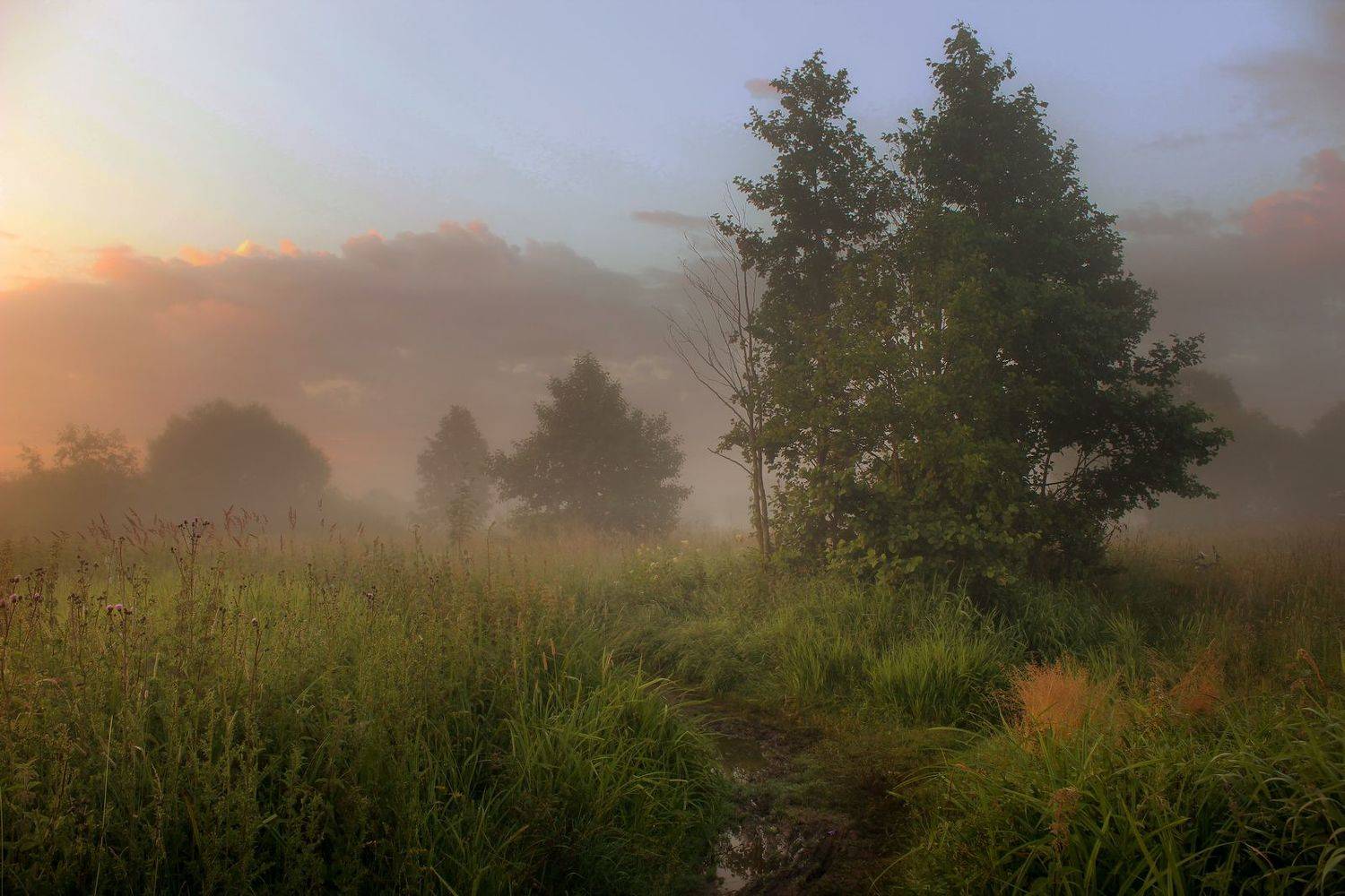 , Игорь Денисов