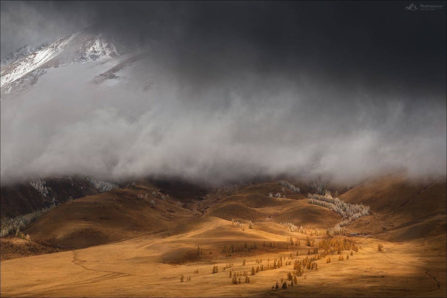 алтай, горный алтай, курайский хребет, курай, фототур на алтай, Влад Соколовский