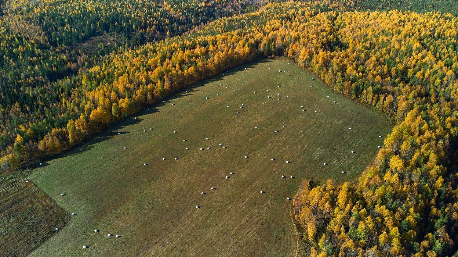, Лисаускас Илья