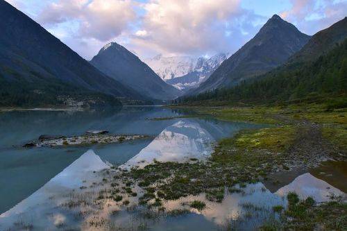 Безмятежное утро