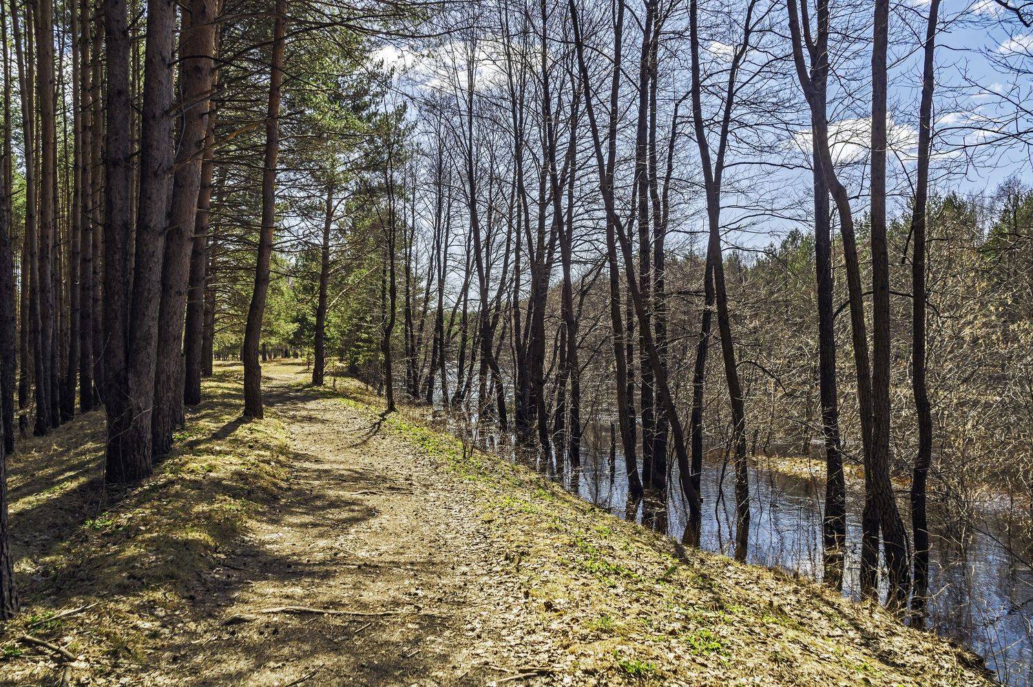 весна., Шитов Александр