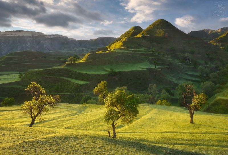 дагестан, террасы, кавказ, фототур на майские праздники, деревья, холмы, фототур в дагестан, дагестанские террасы Весенние пирамиды фото превью