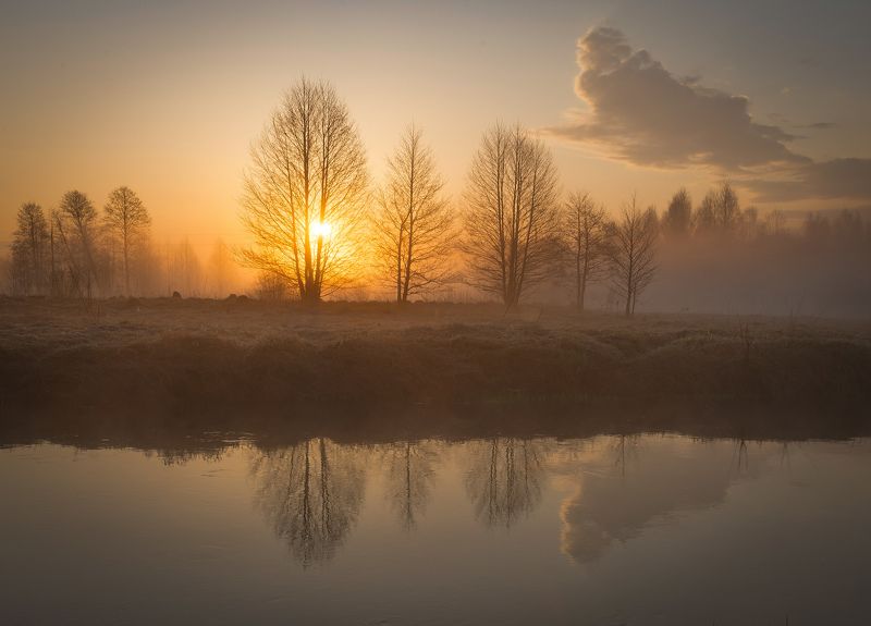 Плиса рассветная фото превью