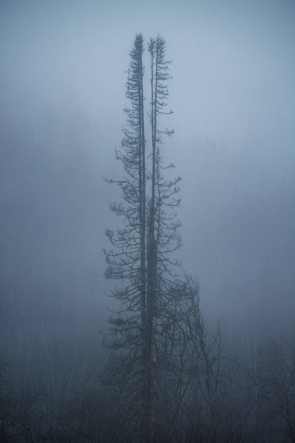 , Котов Андрей