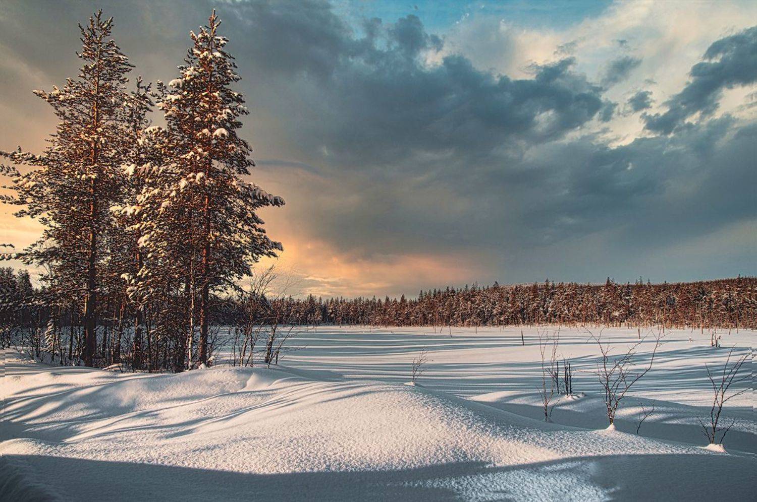 ковдор, кольский, зима, лес, мурманская область, Покровский Алексей