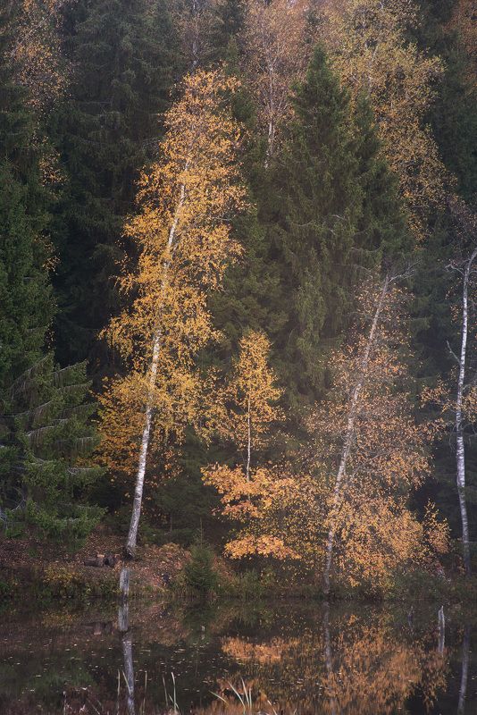 Зеркало фото превью