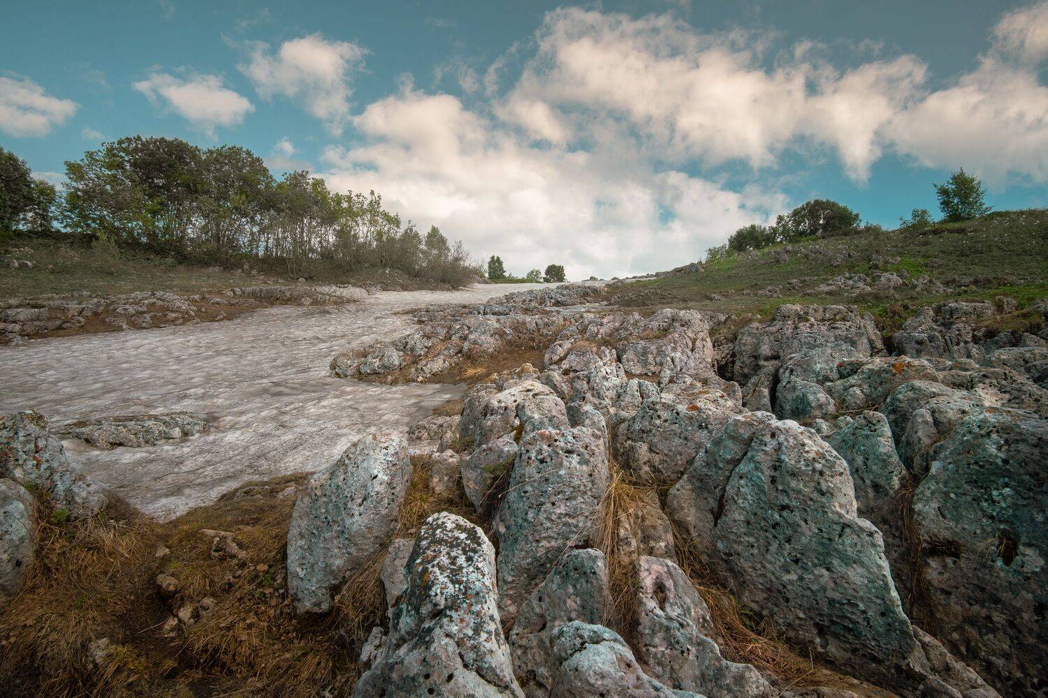 , Вадим Коваленко