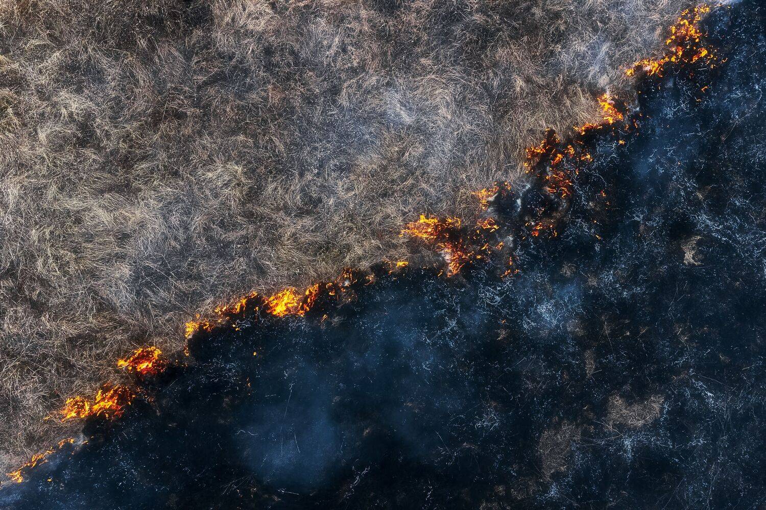 пал травы, природа, огонь, весна, Тульская область, Мартыненко Дмитрий