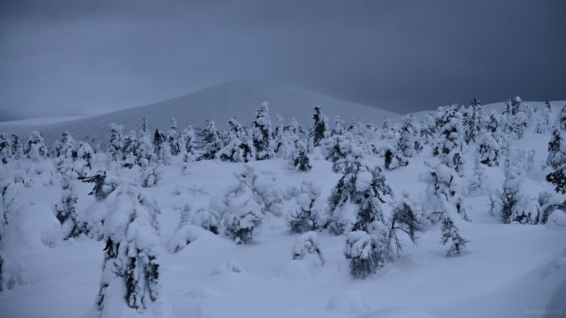 кандалакша, волосяная, зима, сопки, снег, кольский полуостров, мурманская область Заколдованные фото превью
