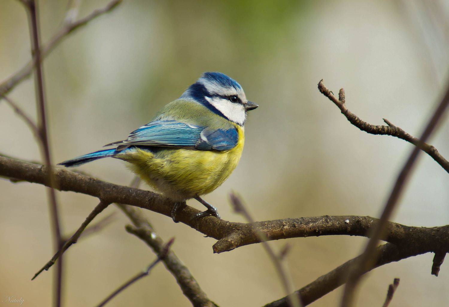 , Екимова Наталья