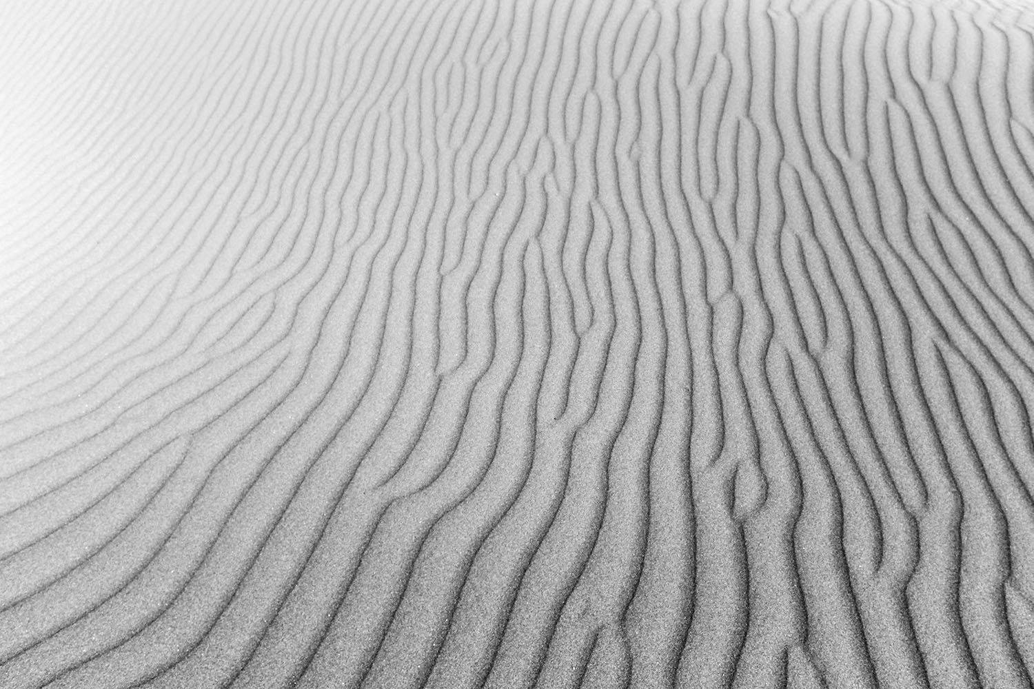 , mehdi karimi souderjani