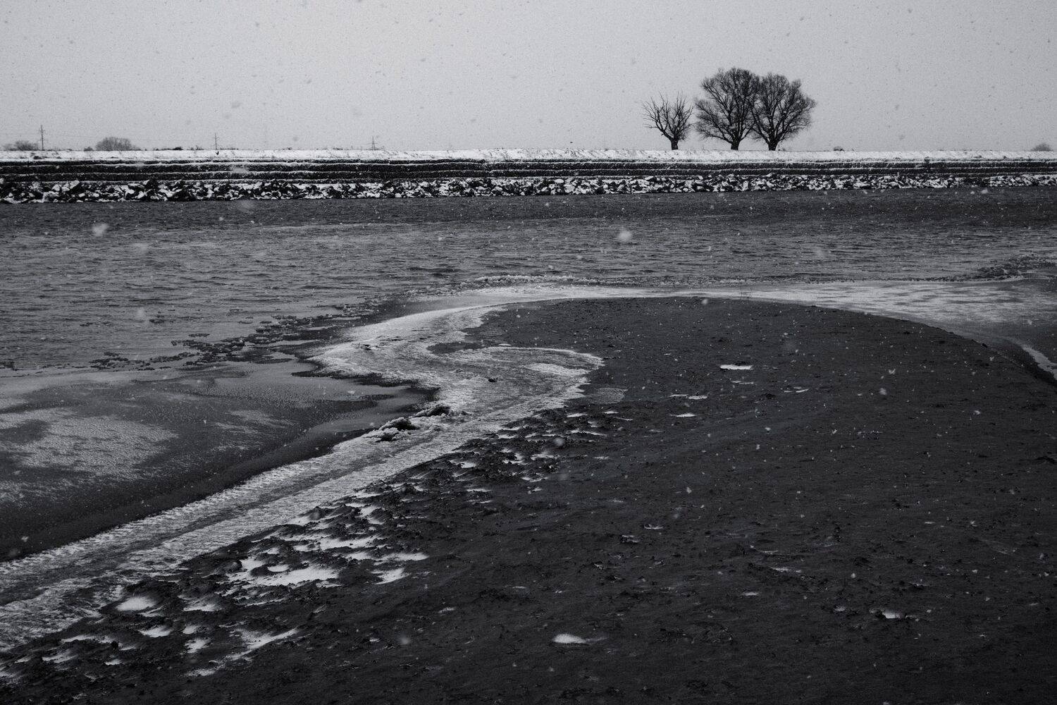 снег, река, чб, Елена Шевченко