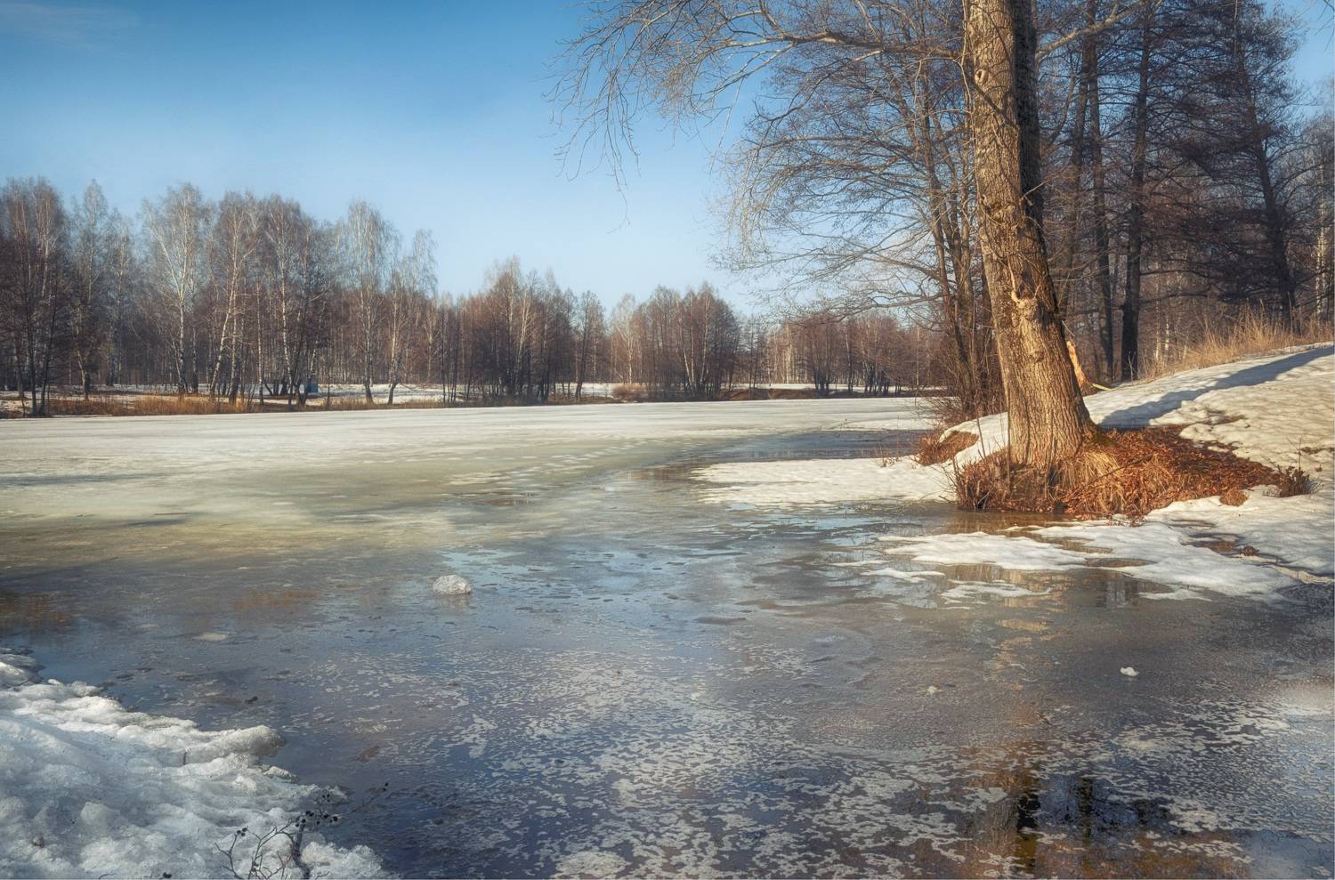 пруд лёд вода дерево, Вера Петри
