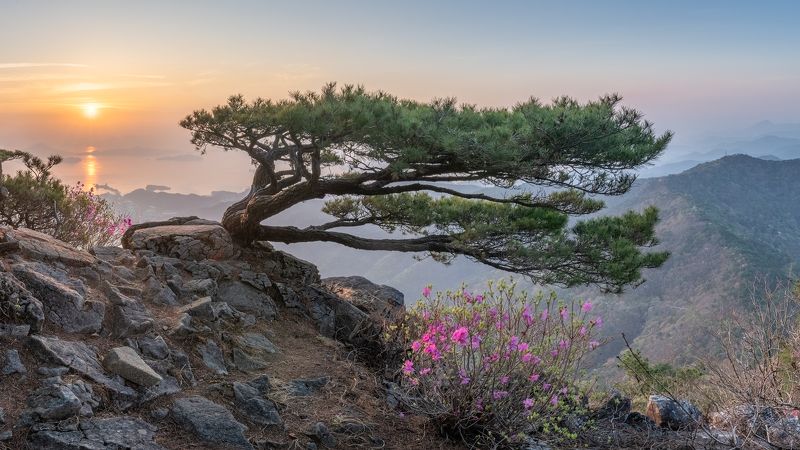 Lying on side фото превью