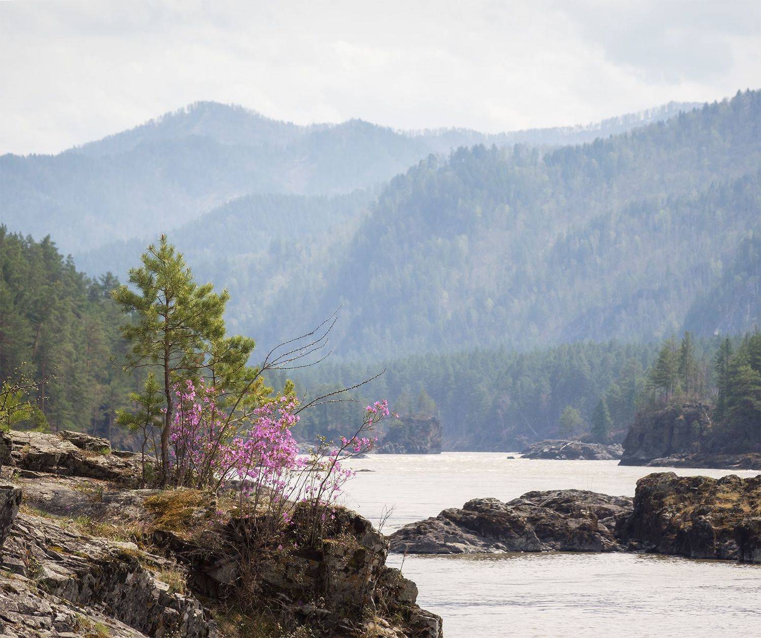 , Лещёнок Александр