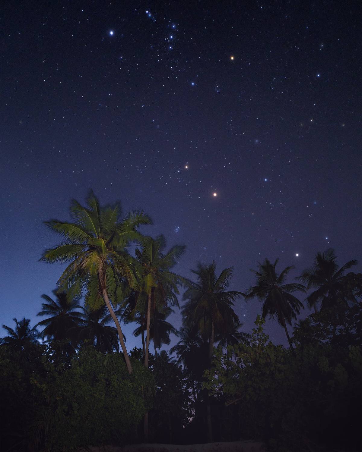 мальдивы, атолл,тропики, пейзаж, природа, maldives, atoll, tropics, landscape, nature, nightscape, starrynight, ночь, звёзды, Чаланов Иван