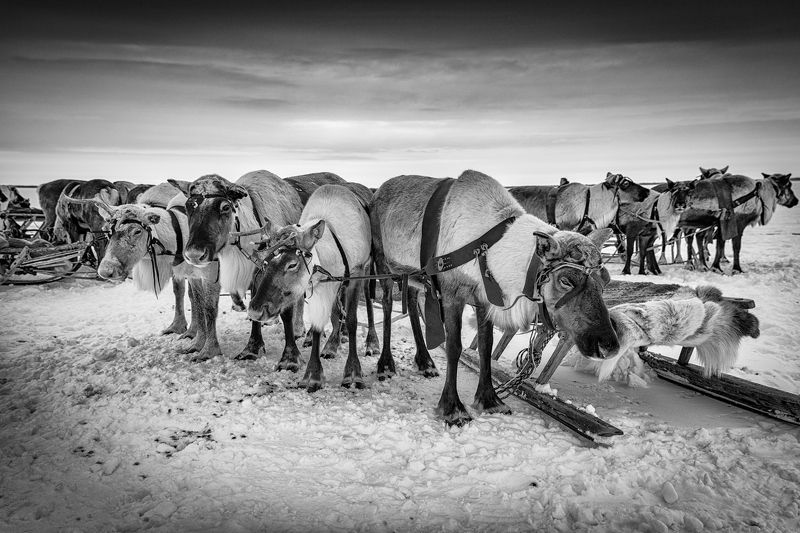 * * * фото превью