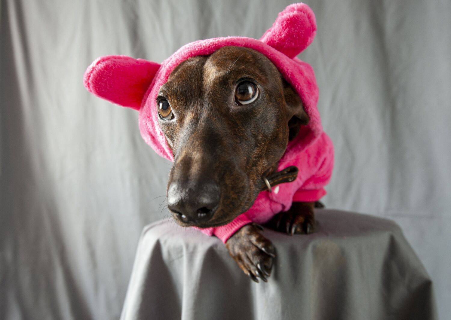 , Георгий Сапожников