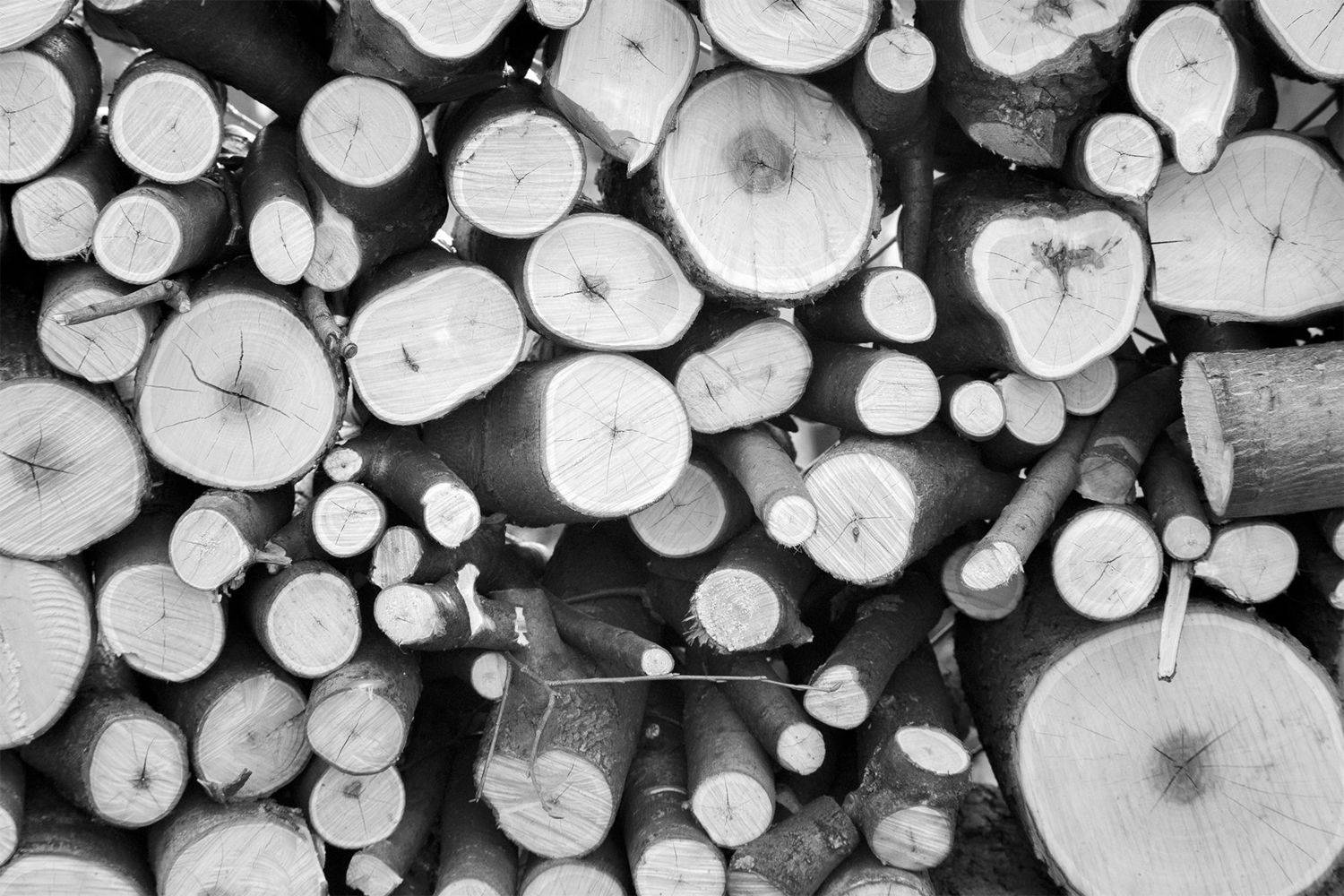 , Чудинин Дмитрий