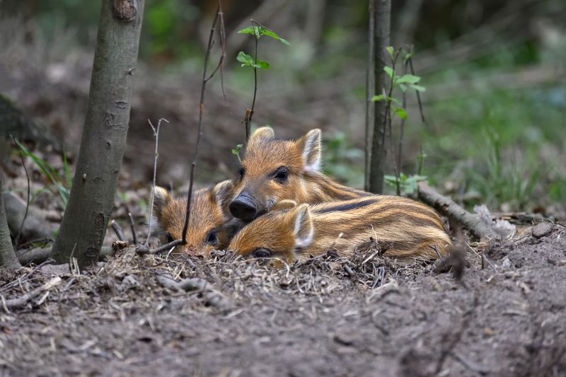 уютное местечко фото превью