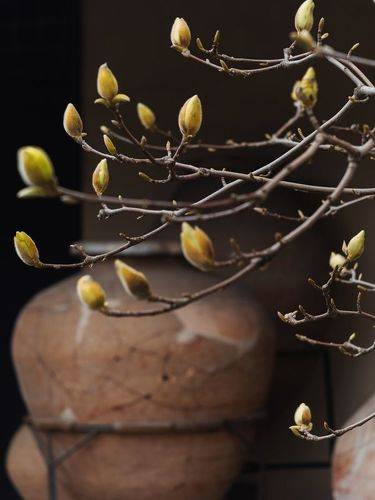 В музейном дворике.