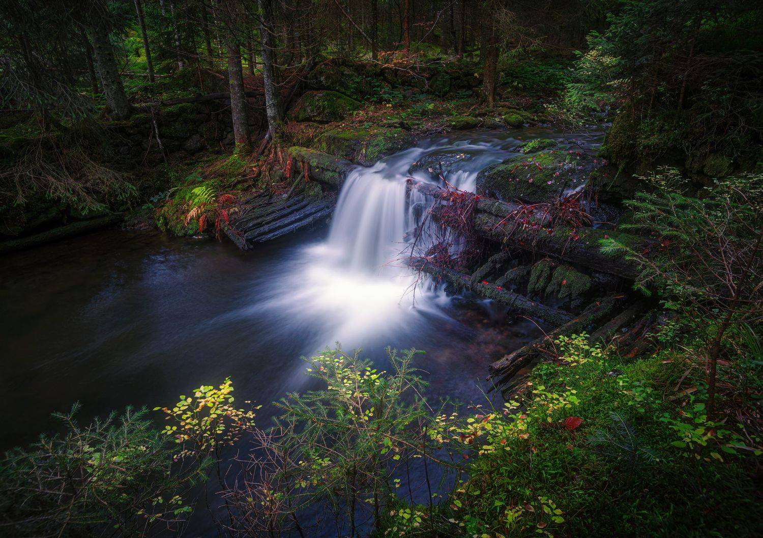 горизонтальный,  нет людей,  на улице,  фотография,  водопад, лес,  природа,  вода,  живопись - природа,  ручей - проточная вода,  дерево,  река,  скала - объект,  красота в природе,  движение,, Ожерельев Андрей